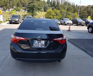 Toyota Corolla, Petrol car hire in Georgia