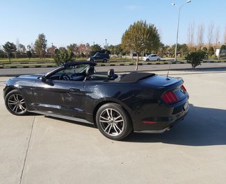 Ford Mustang Cabrio, Petrol car hire in Georgia