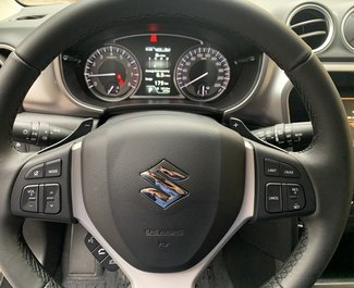 Suzuki Vitara, Petrol car hire in Georgia